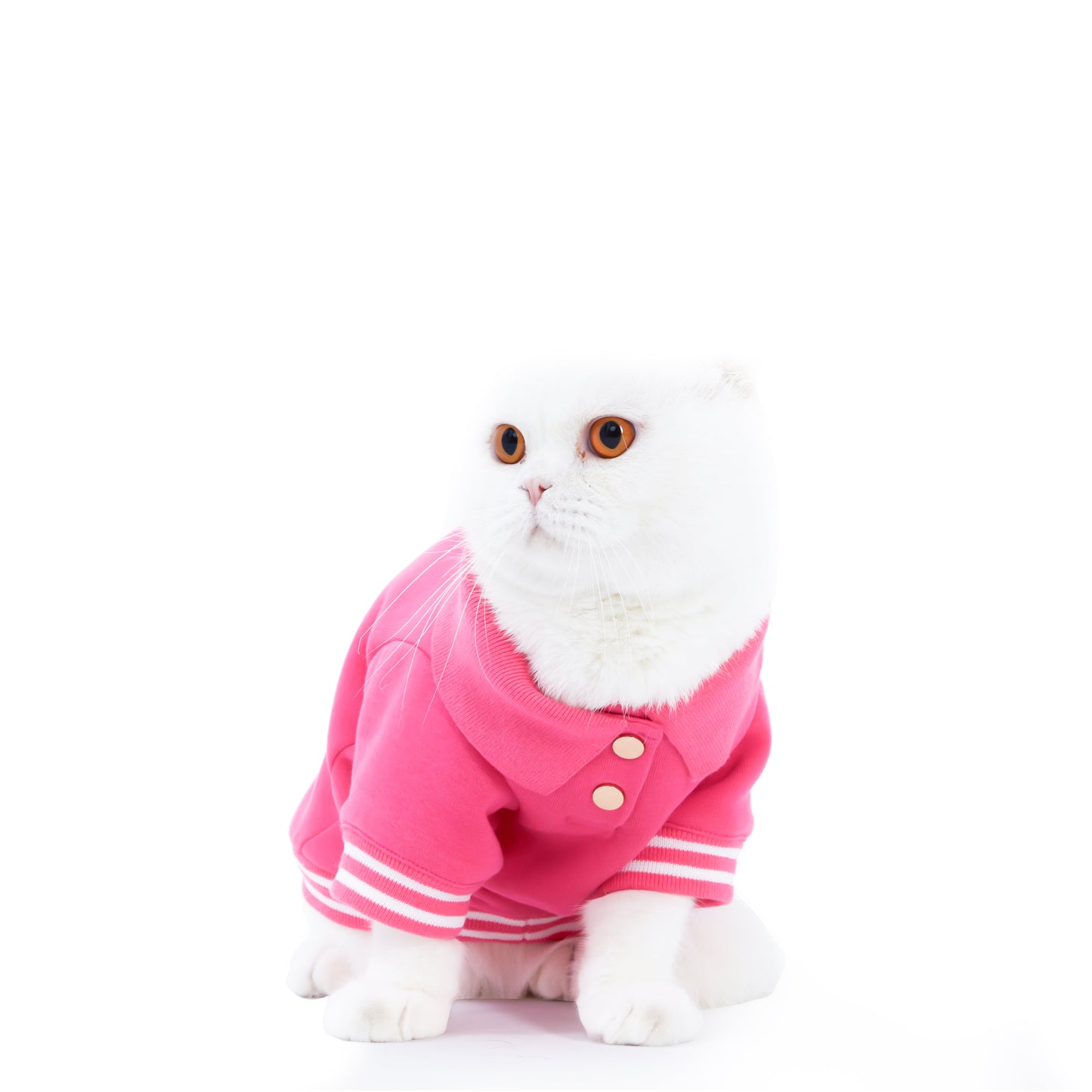 Boss Babe Cat Sweatshirt by Moshiqa