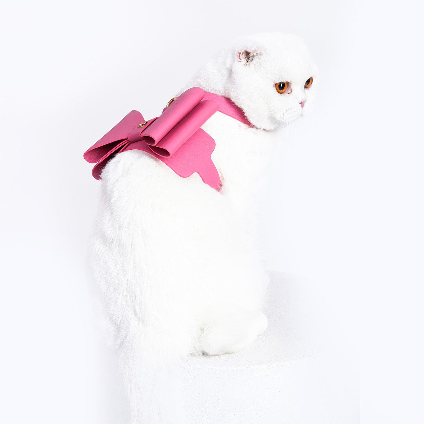 Metapink Bow Cat Harness by Moshiqa