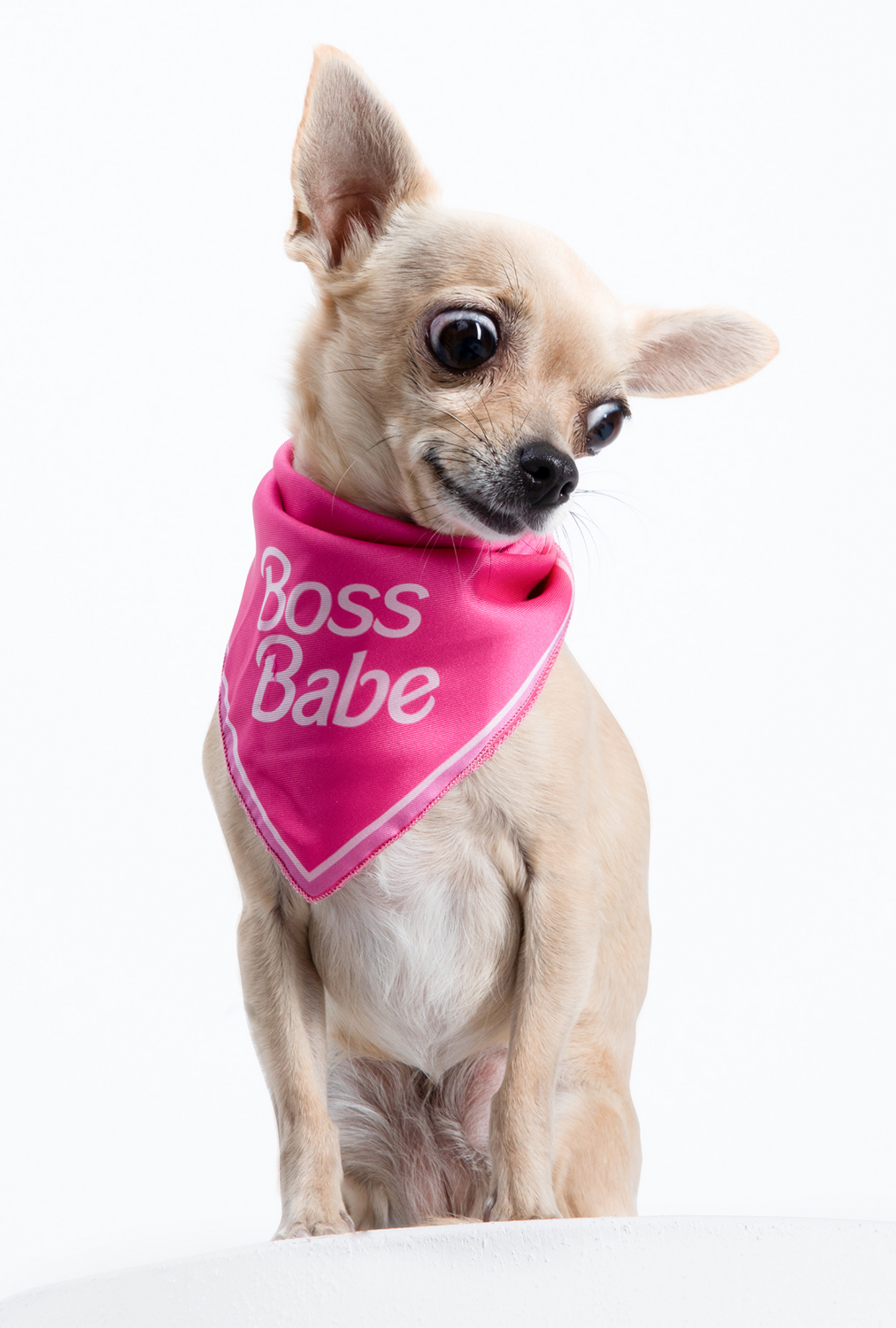 Boss Babe Dog Bandana by Moshiqa