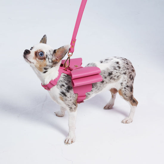 Metapink Bow Dog Harness by Moshiqa